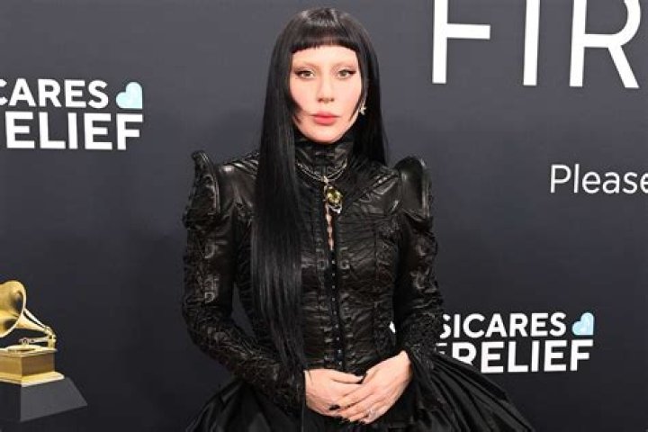 
What does Lady Gaga and Bruce Cohen-led President’s Committee on the Arts and the Humanities do? 